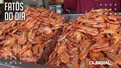 Feiras, atacados e delivery impulsionam vendas no mercado de mariscos em Belém