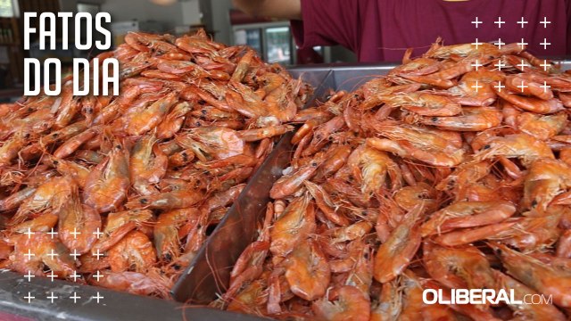 Feiras, atacados e delivery impulsionam vendas no mercado de mariscos em Belém