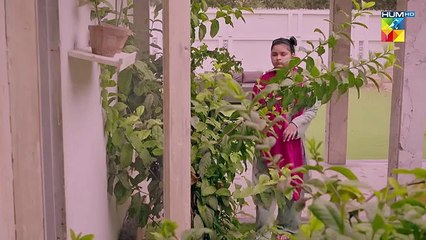 Jama Taqseem Episode 08 - 02 October 2025- HUM TV