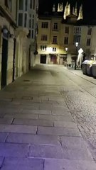 Hosteleros de Burgos denuncian presencia creciente de ratas