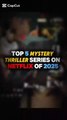 TOP 5 MYSTERY THRILLER SERIES ON NETFLIX OF 2025
