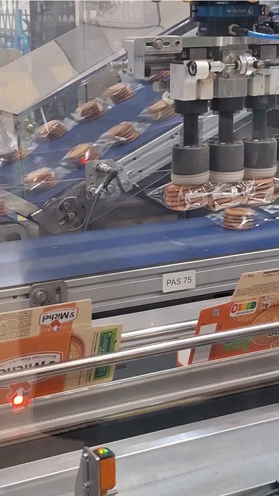 Découvrez les coulisses des galettes Saint-Michel (2)