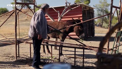 Η Γη της Ελιάς 5ος Κύκλος - Επεισόδιο 12