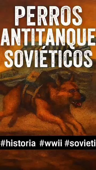 Los perros bomba de Stalin armas vivientes en la Segunda Guerra Mundial - Cronoscopio (360p, h264)