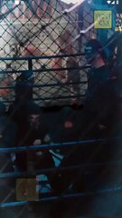 Spend Nights With My Killer Lover