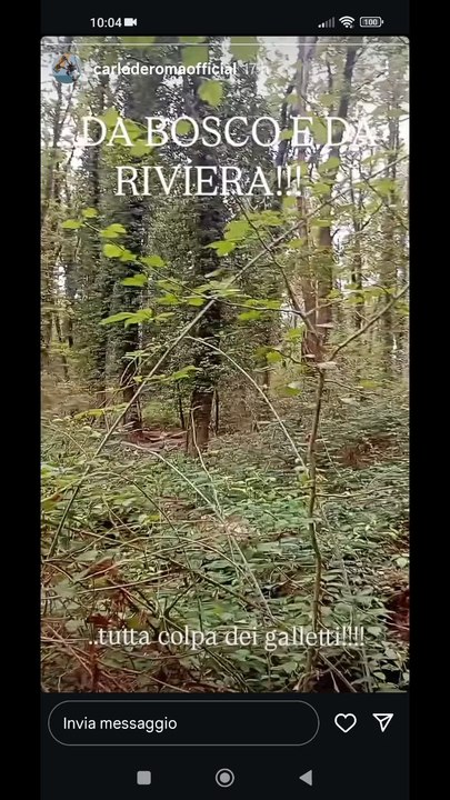 carloderoma da bosco e da riviera