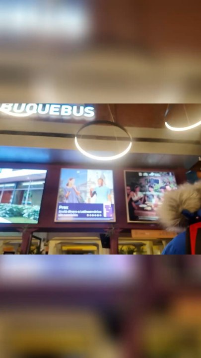 Lost Traveler Finds Check-in & French Speakers_ Ferry Terminal Chaos!