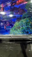 Cheapest tv market in pakistan