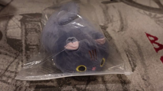 Temu’ dan 30 Tl’ ye Peluş Kedi Aldım.