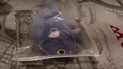 Temu’ dan 30 Tl’ ye Peluş Kedi Aldım.