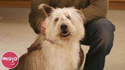 Top 20 Saddest Grey's Anatomy Character Deaths