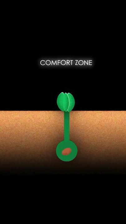 Rise & Inspire: Still Wants To Live in Your Comfort Zone ! Comments Below