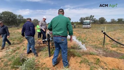 New bore boosts water efficiency on Wyandra property under GABSI scheme