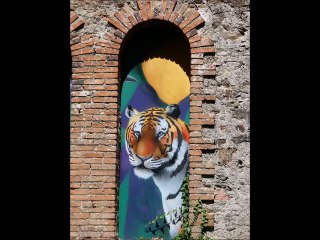 Animaux peints