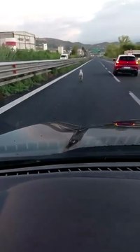 Image from field_mediaid