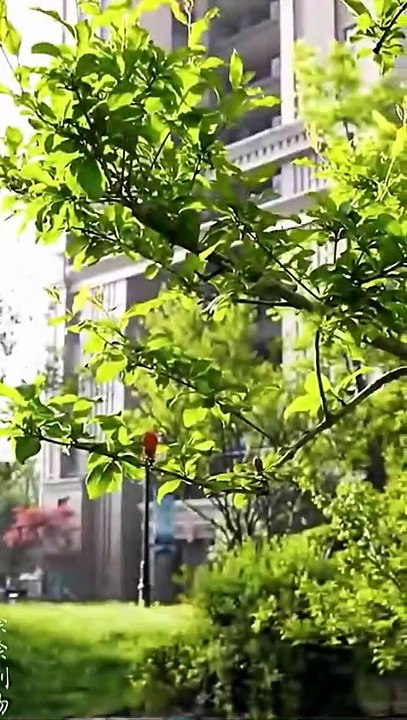 Love Entrusted To Time Chinese Drama - ENG SUB