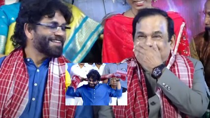 Bramhi & Nagarjuna Hilarious Moments దత్తన్న అలయ్ బలయ్  | Filmibeat Telugu