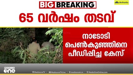 കൊടും ക്രൂരതക്ക് കടുത്ത ശിക്ഷ; നാടോടി പെൺകുഞ്ഞിനെ പീഡിപ്പിച്ച കേസിൽ പ്രതിക്ക് 65 വർഷം തടവ്