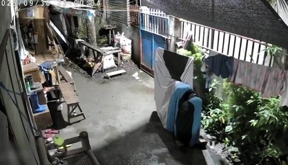 Dog Senses Earthquake and Warns Family in Cebu, Philippines