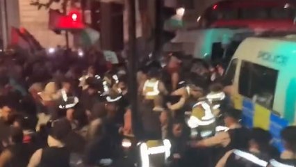 Protesters class with police during Pro-Palestine Whitehall protest