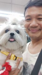 🔴 TAMBAY MUNA WITH YOUR CUTIE PICKLES #shihtzu
