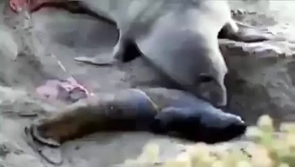 This Mother seals reaction to realizing her baby is alive