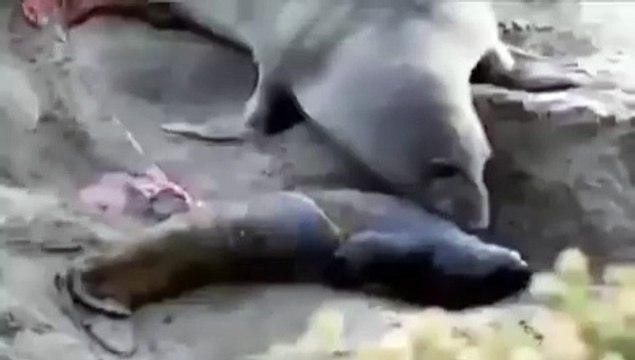 This Mother seals reaction to realizing her baby is alive