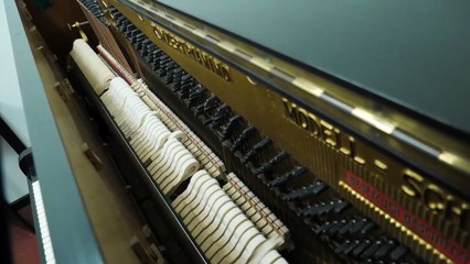 Ein Abend der Superlative in der Galerie WienArtig!