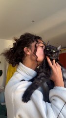 Journée internationale des animaux de compagnies