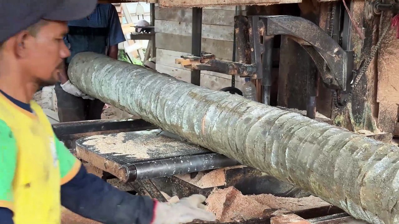 Determining the Correct Position When Sawing a 5x7 Coconut Tree with a Sawmill