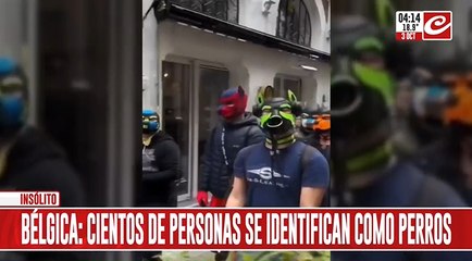 Se identifican como perros y así se manifiestan en las calles