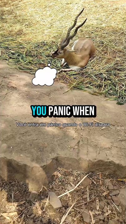 Is this the reason for your panic?