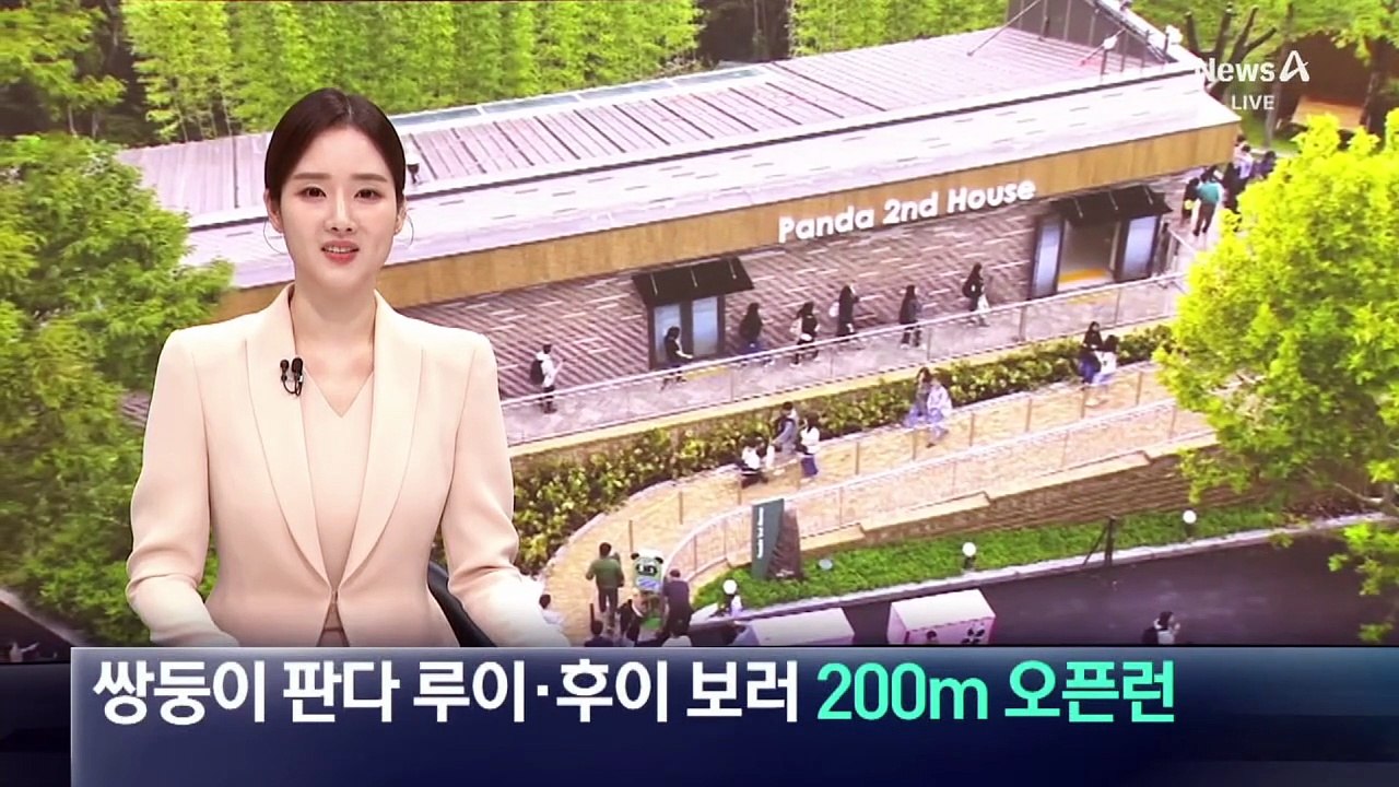 쌍둥이 판다 루이·후이 보러 200m 오픈런