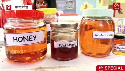 मध्य प्रदेश में तैयार हो रहा 13 फ्लेवर का शहद, औषधीय महत्व के साथ चखिए अलग-अलग हनी का स्वाद