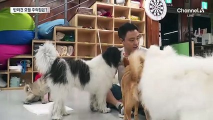 ‘반려견 호텔’ 예약 전 주의할 점은?