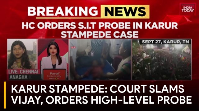 Madras High Court slams TVK chief Vijay, orders SIT probe into Karur stampede
