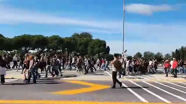 Pisa, sciopero per Gaza: il corteo entra in autostrada
