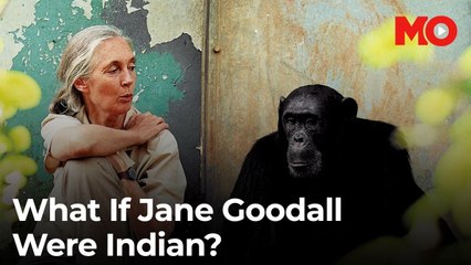 Jane Goodall: Changing the world without a degree