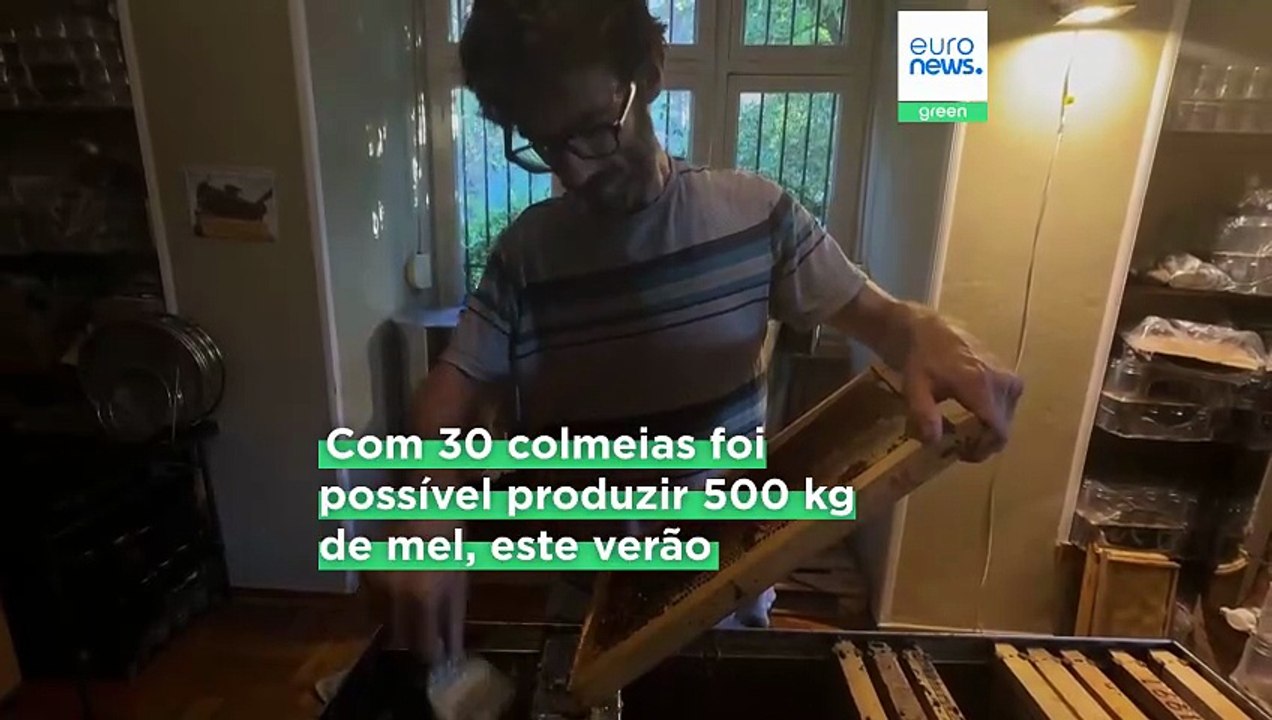 Atenas adere à apicultura urbana com colmeias em telhados de edifícios residenciais