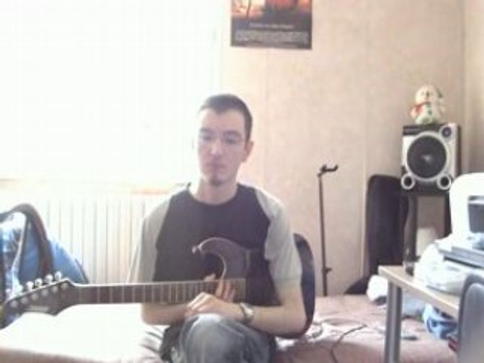 The Cranberries - Zombie (krikri71 cover)