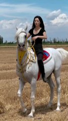 阿拉伯马的魅力😘❤️_doris _taotaoaima _horseriding _horsevideo _horseride _horserider _horses _horse _funny _funnyvideos