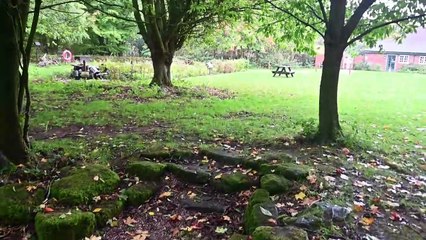 Kingswood Trust on the Black Country Shropshire Border getting ready for the Green Festival.