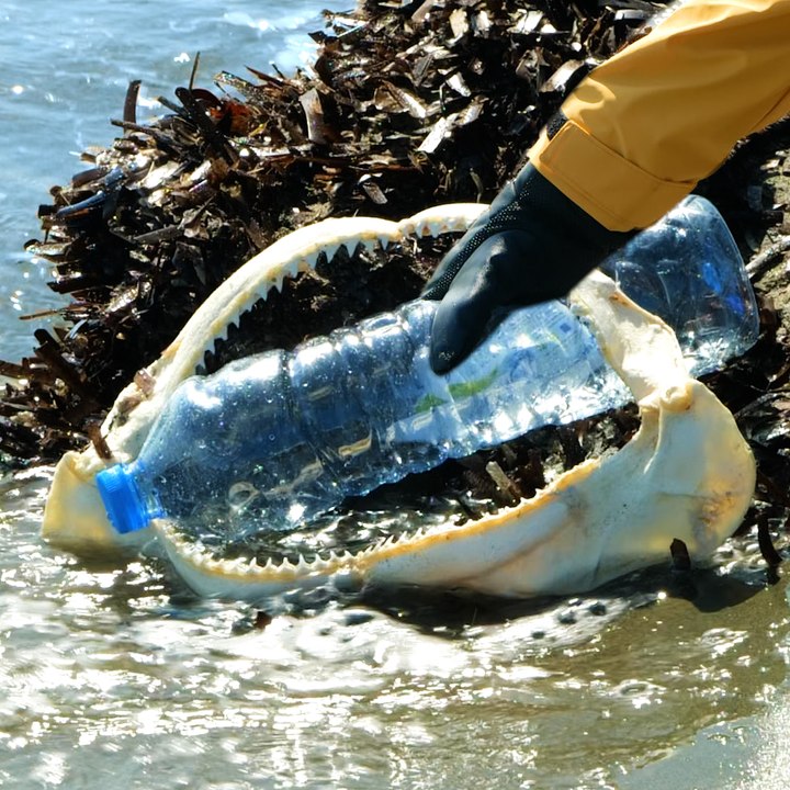 Go green and turn trash into something useful for a better planet 🌏 #ecofriendly #fyp #greenlife #diy #craft