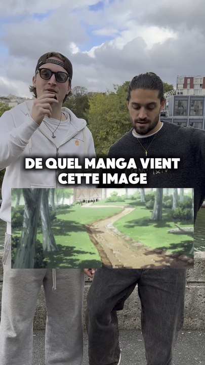 De Quel manga cette image ?