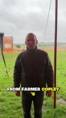 Storm Amy causes disruption across the region including Farmer Copley's Pumpkin Festival cancellation