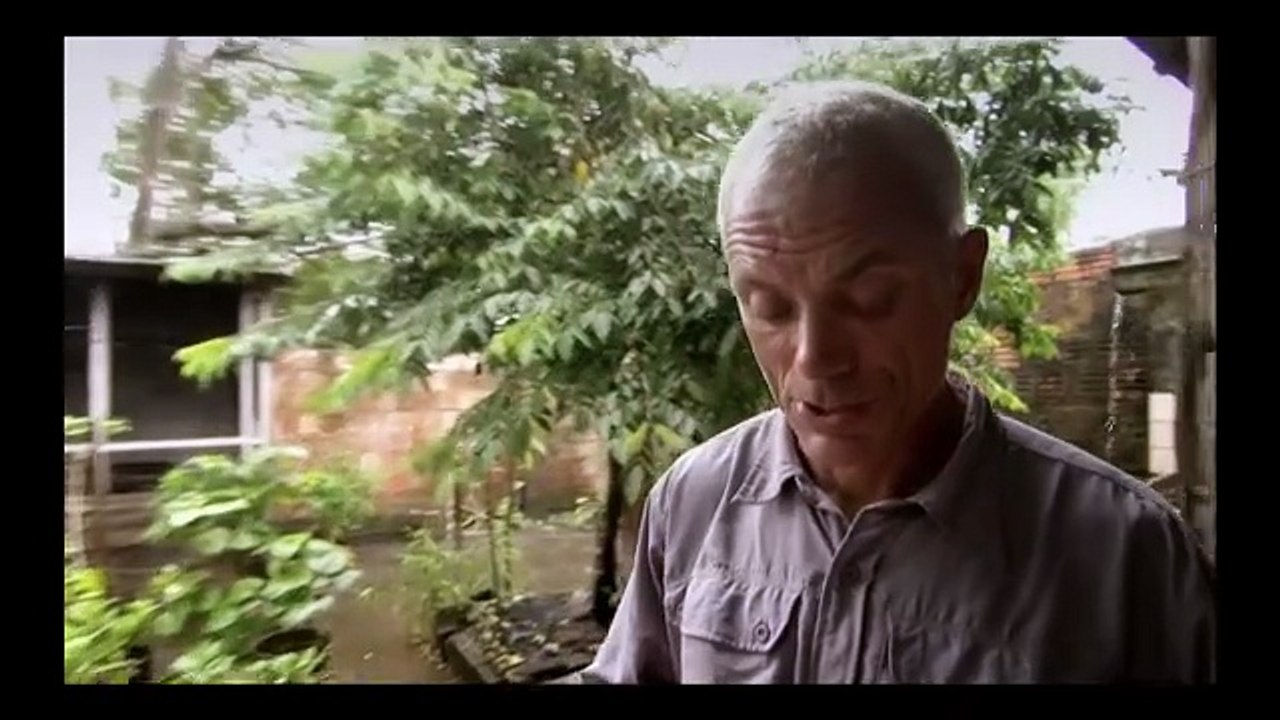 Fluss Monster S01E01-Piranhas