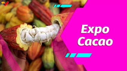 Buena Vibra | Más de 30 expositores participaron en la gran Expoferia del Día del Cacao