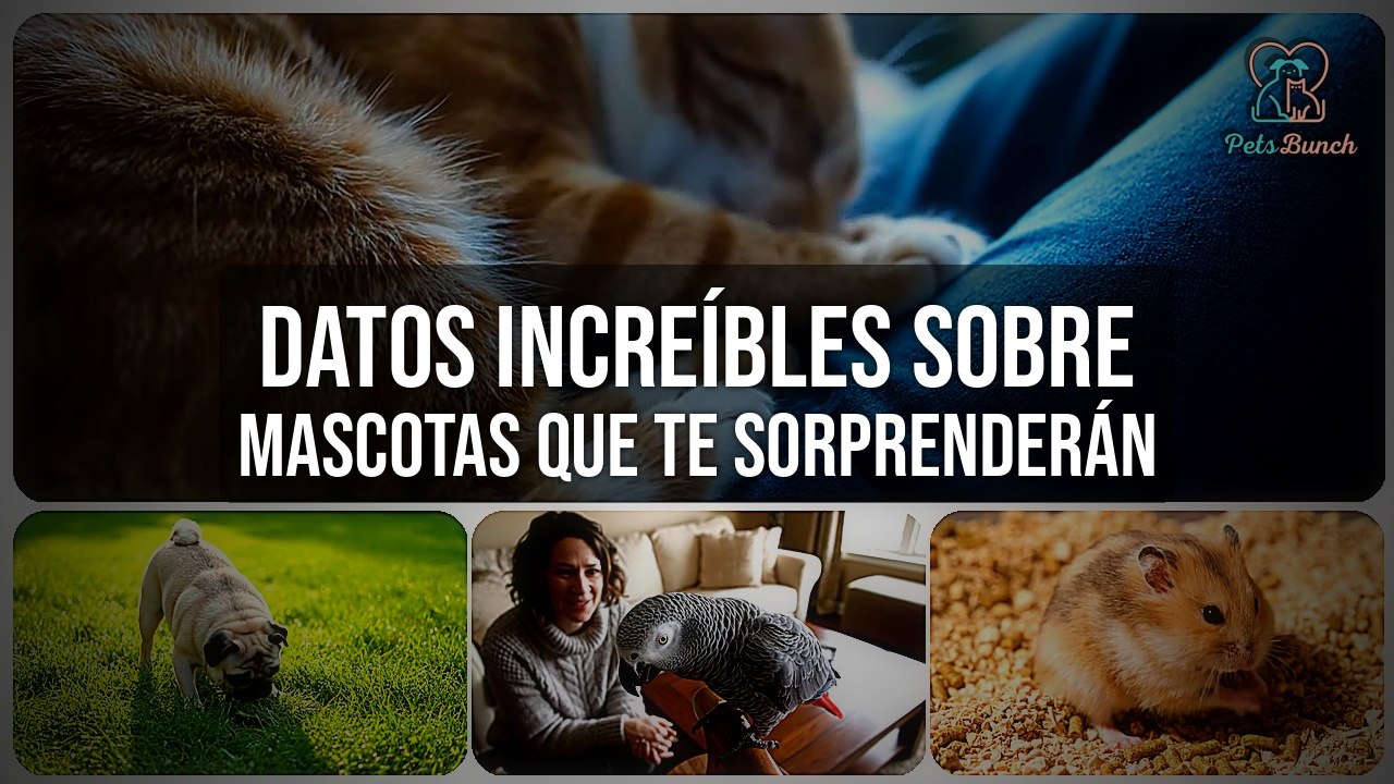 Datos Increíbles de Mascotas que Te Sorprenderán | Curiosidades Animales
