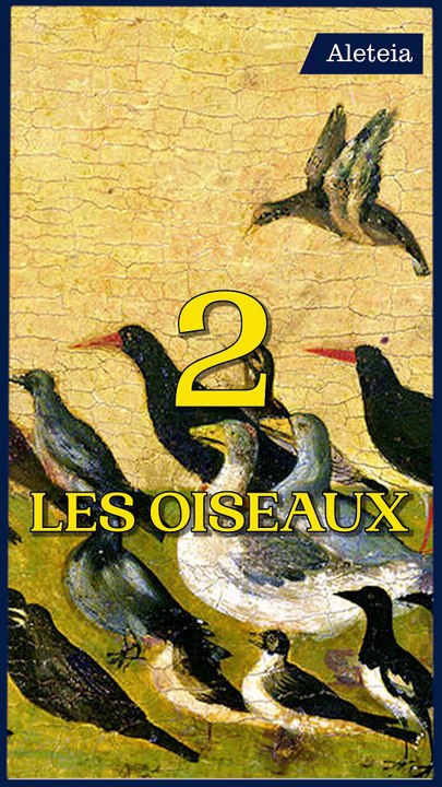 Saint François, le premier écologiste !