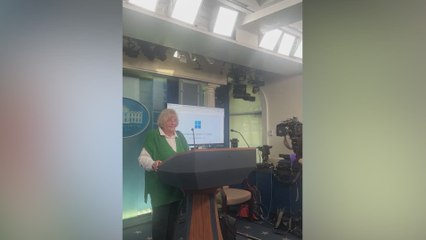 JD Vance snaps playful photo of aunt Donna at White House podium